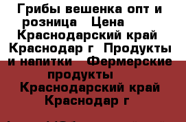 Грибы вешенка опт и розница › Цена ­ 12 - Краснодарский край, Краснодар г. Продукты и напитки » Фермерские продукты   . Краснодарский край,Краснодар г.